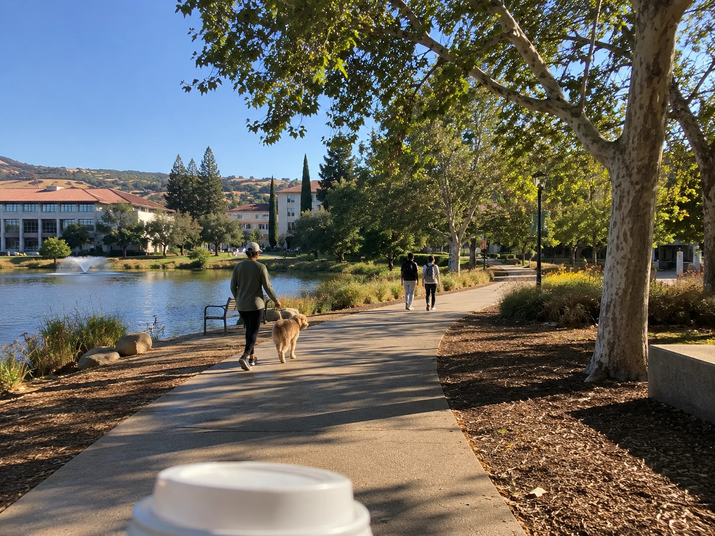 A sunny morning path curves around Campus Lake at Silverdale University, with students, a dog walker and university buildings beyond the water. The edge of Theresa’s takeaway coffee cup is visible at the bottom of the photo.