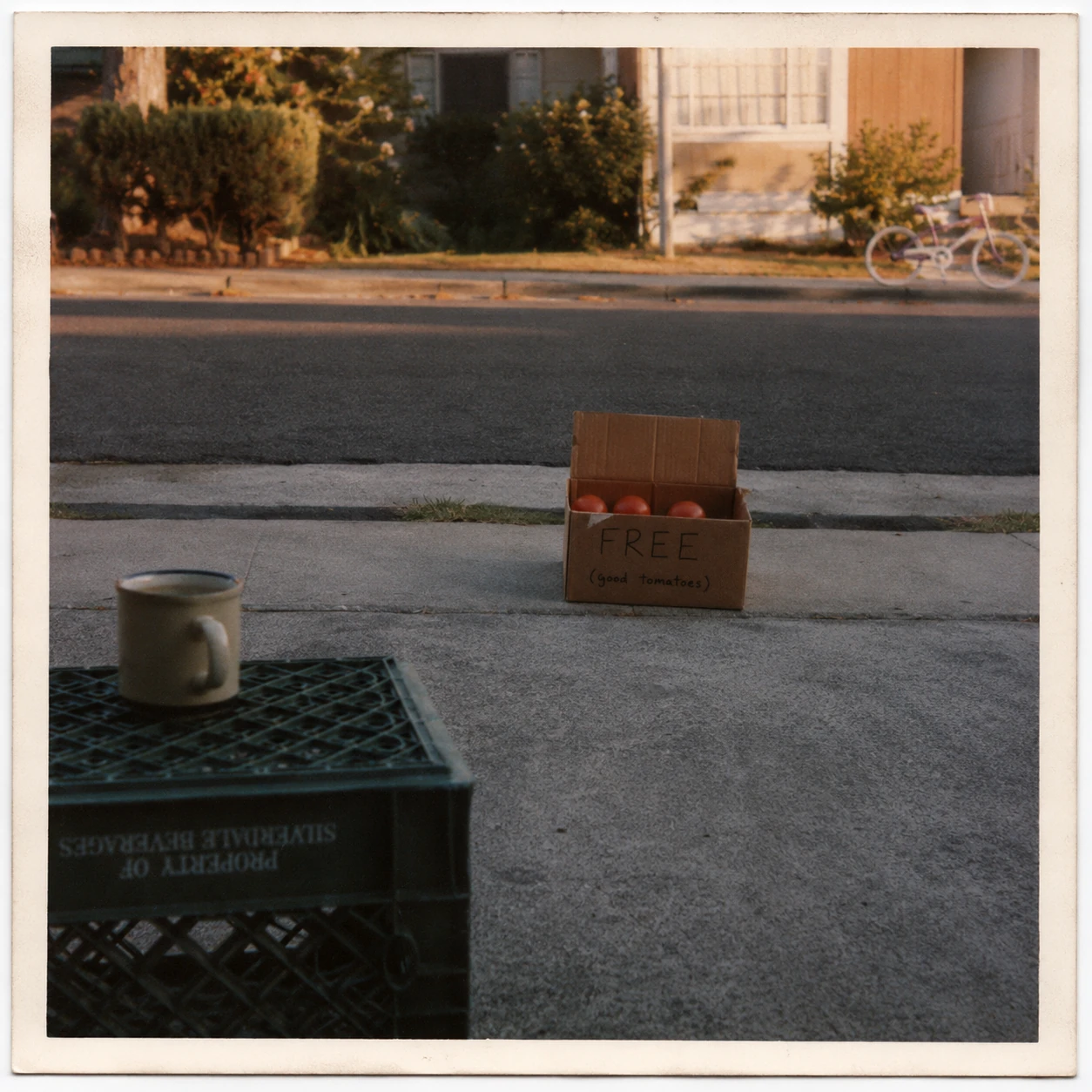 A box of tomatoes on the sidewalk